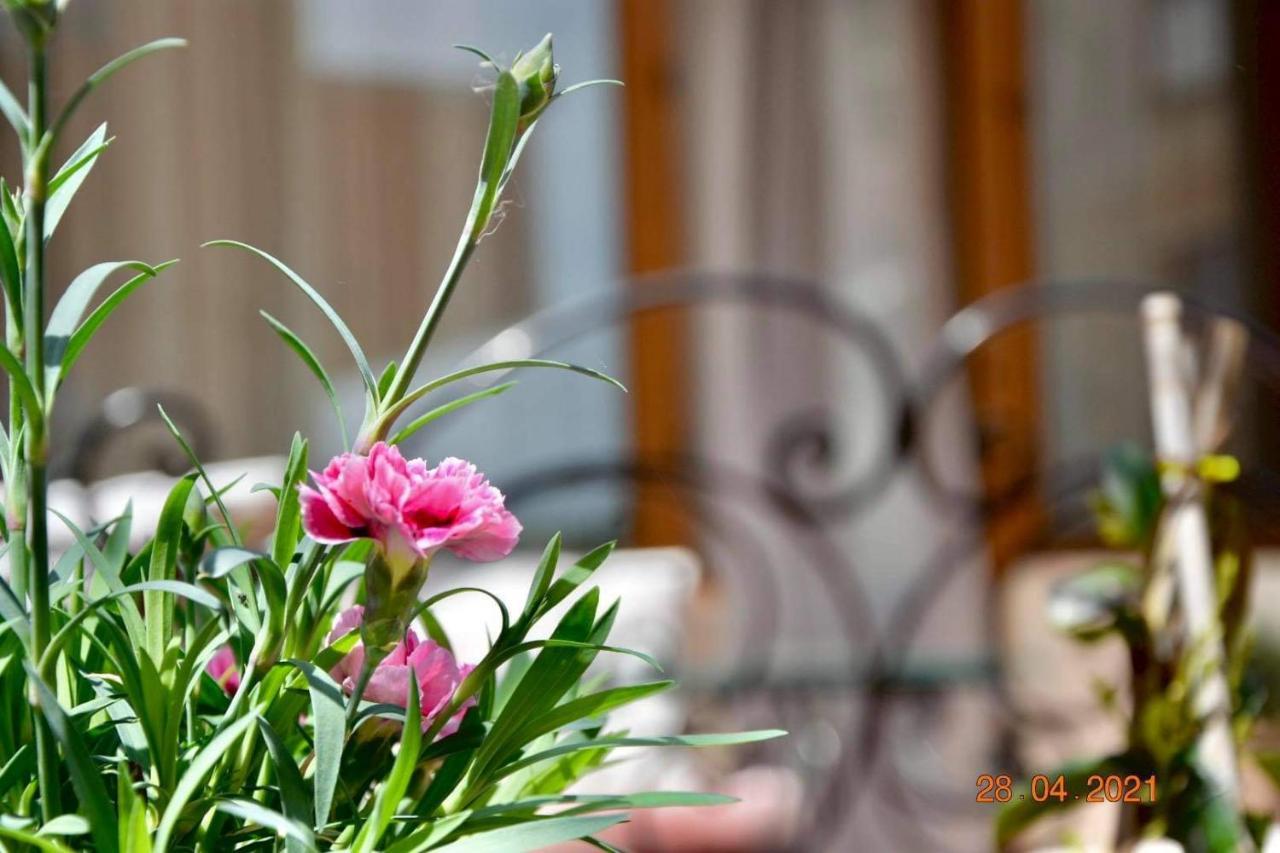 סנדנסקי Princess Apartment מראה חיצוני תמונה