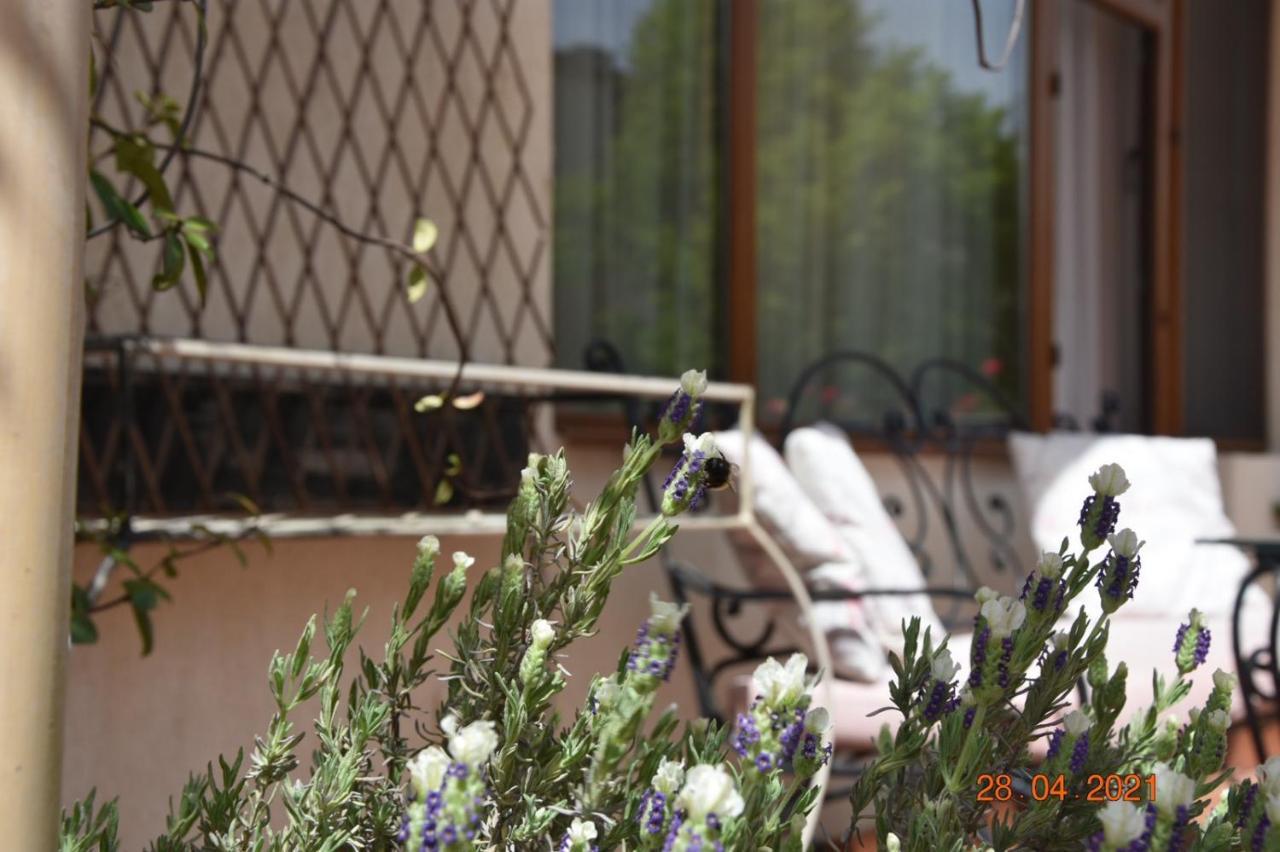 סנדנסקי Princess Apartment מראה חיצוני תמונה
